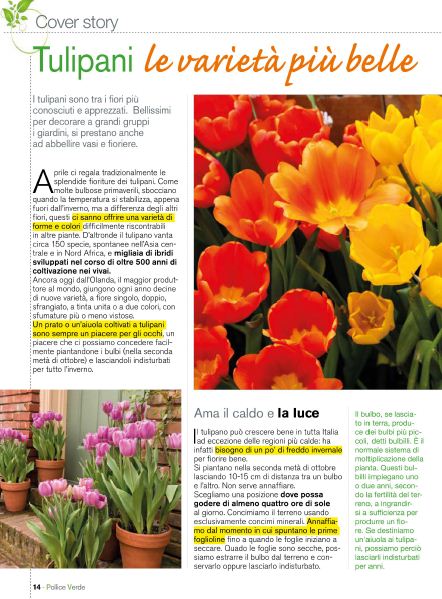 Pol Verde Apr 2020 (3)