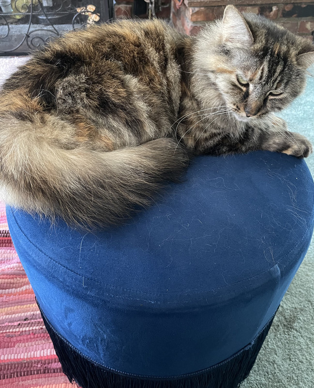 3DF3D210-6E1E-4E33-9953-102F9A3E2889_1_201_a