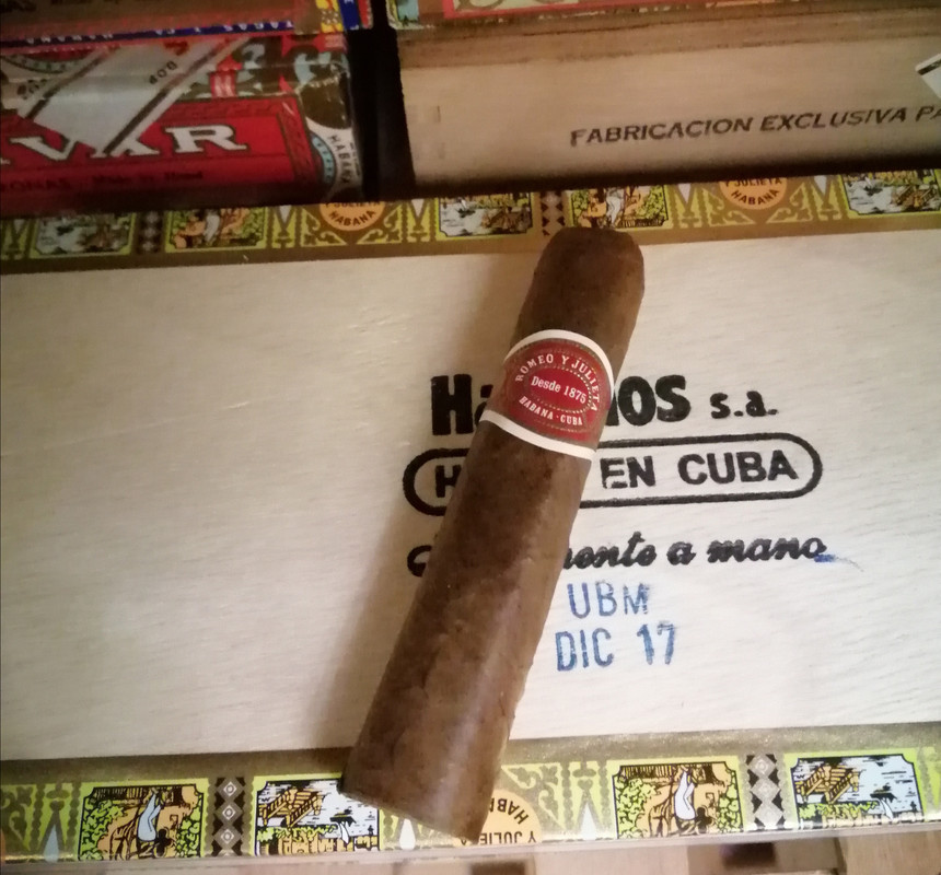 IMG_20211225_221236[1]