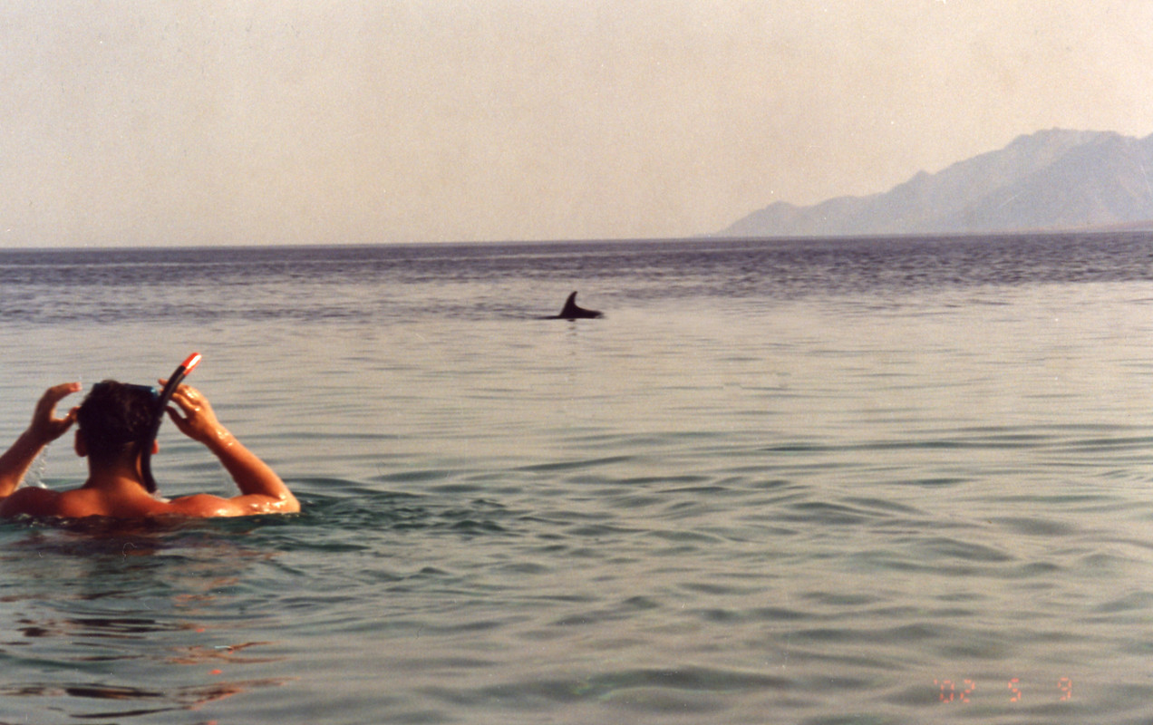 ХИЛТОН ЕГИПЕТ (30)