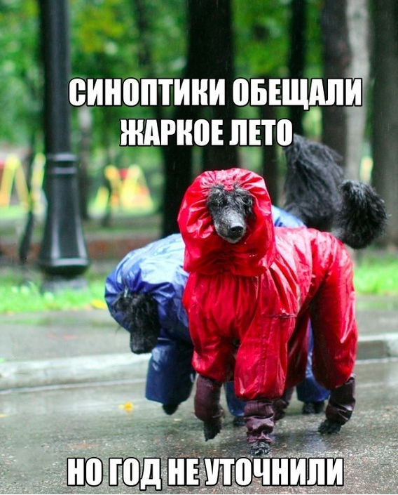 Обещает быть жаркой