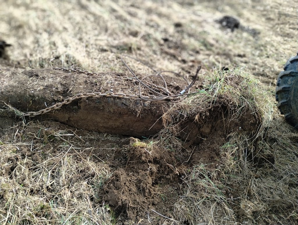 IMG_20250310_105912770_PORTRAIT