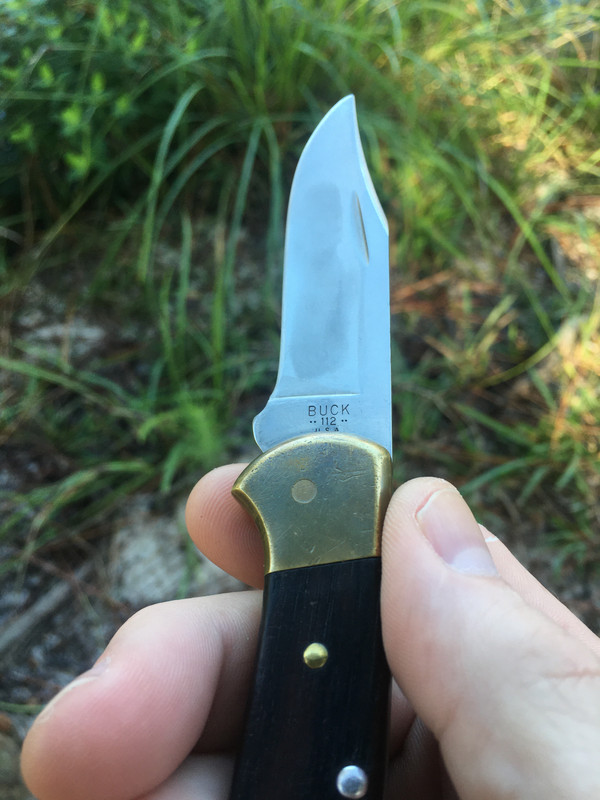 ACF438F6-9C91-450C-9D4F-9D6880BFD708