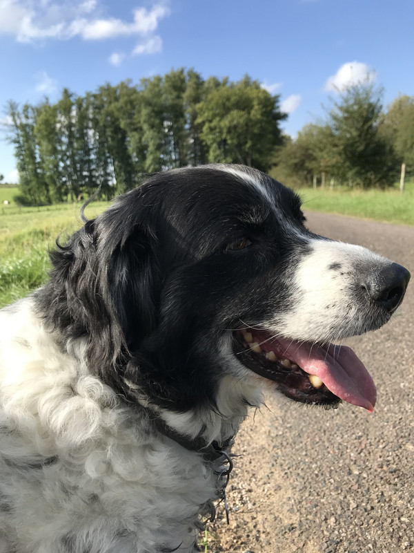 785E0A58-2CF1-4EED-9497-B2CC2B7723E0