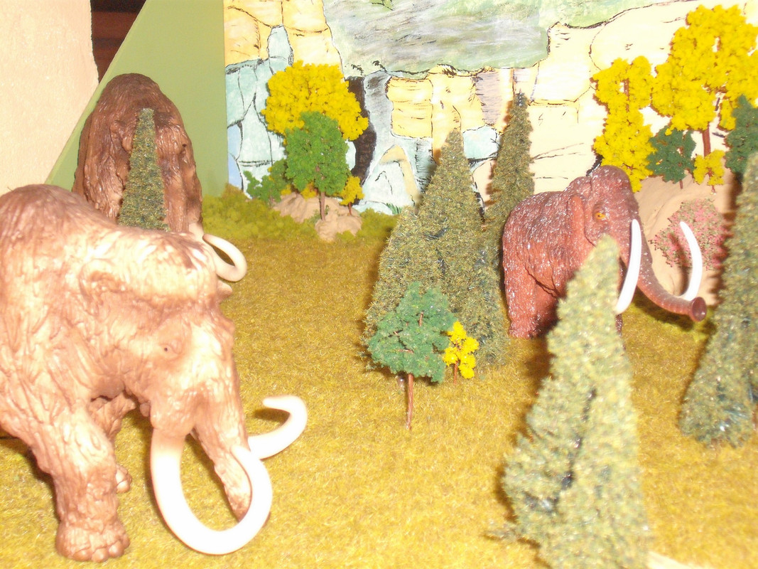 Les géants de la Taïga (5)