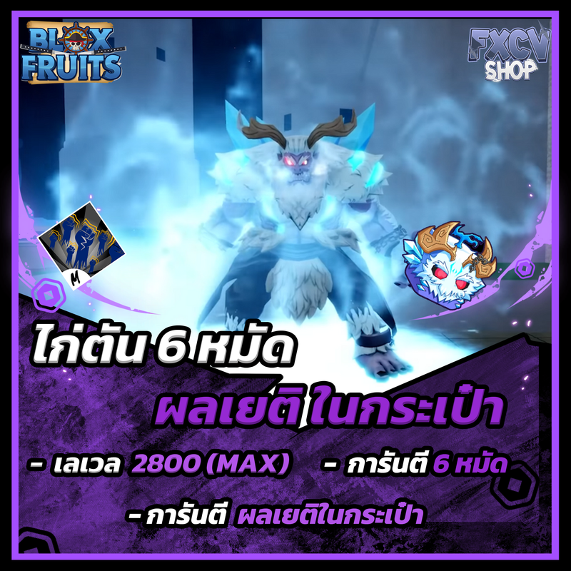 ไก่ตัน 6 หมัด | ผลเยติในกระเป๋า