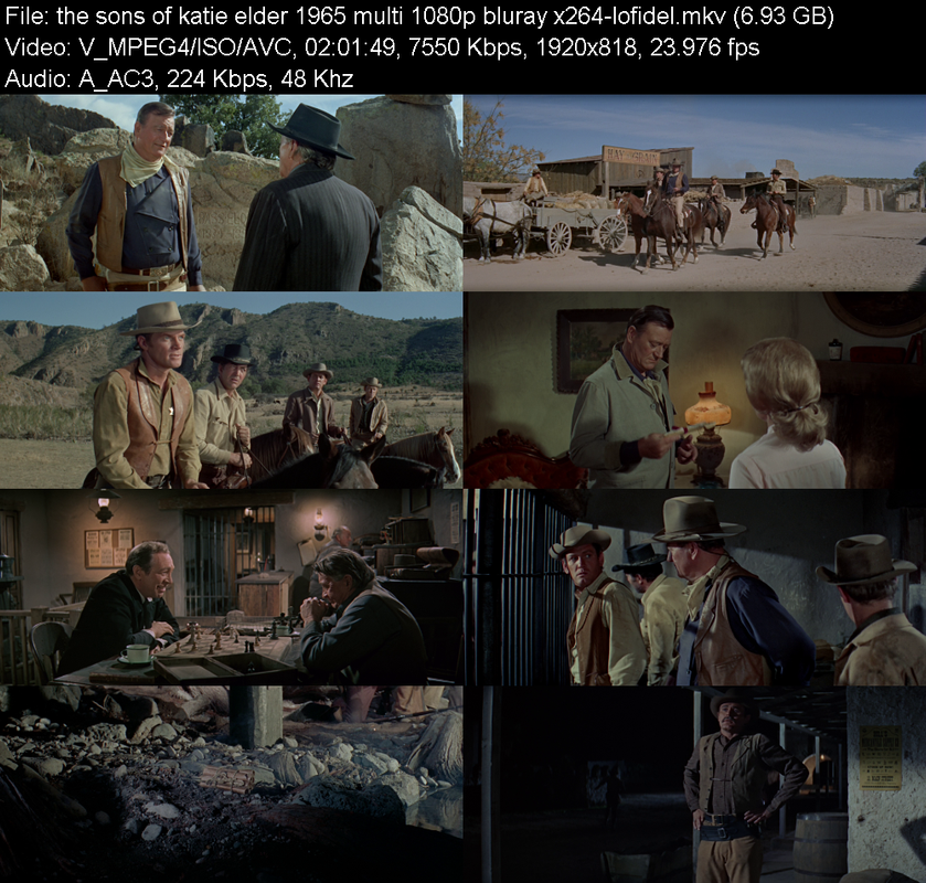 the-sons-of-katie-elder-1965-multi-1080p