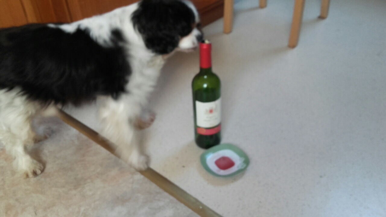 C43E6865-C38B-4806-87E2-6C2452CD4034