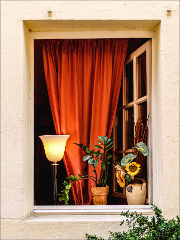 P7184437  2025 Vögel und so  LR ERWZ FB