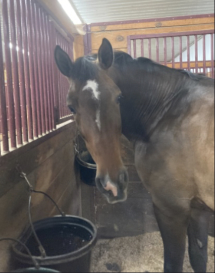 9560CB29-BDB8-4A03-8135-F3E33B9AB141