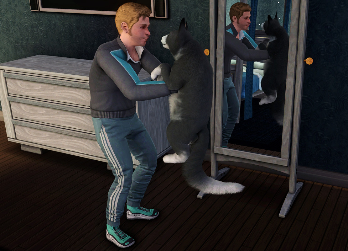 TS3-W-2024-10-14-18-03-31-preset3-Dove.jpg