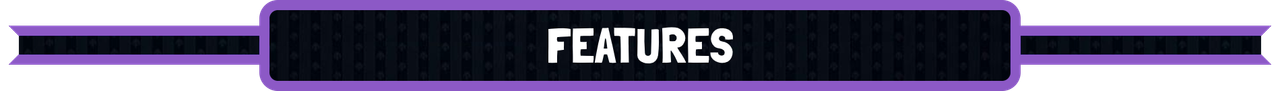 features.png
