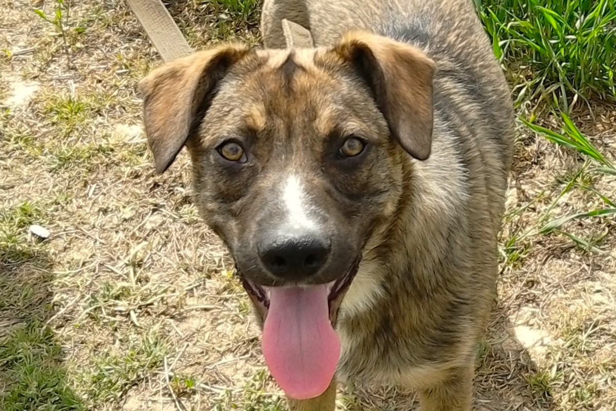 IMG_20190525_120209E