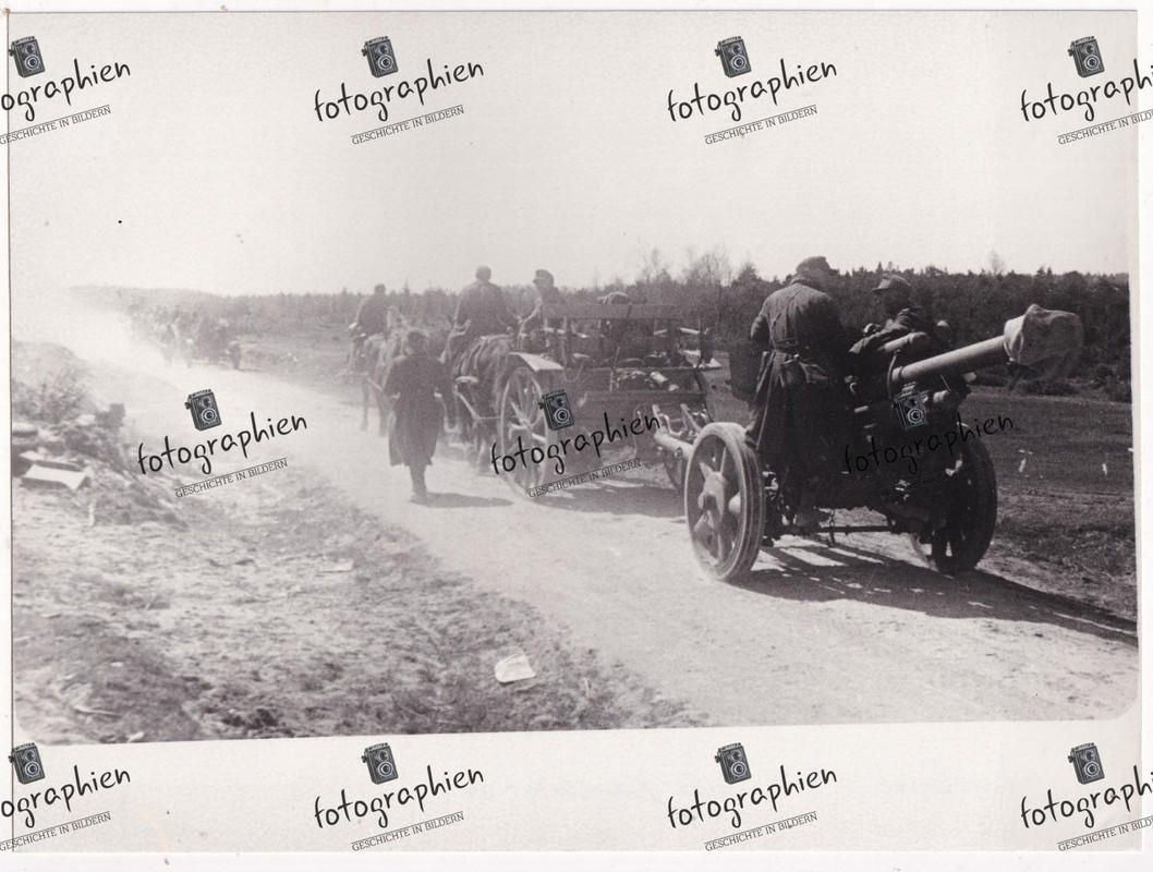 orginal Foto 2. Weltkrieg Kurland Artillerie Ostfront Kessel Endkampf 1945 (2)