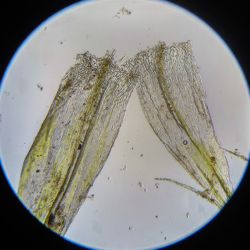 IMG 20250614 124046 HDR