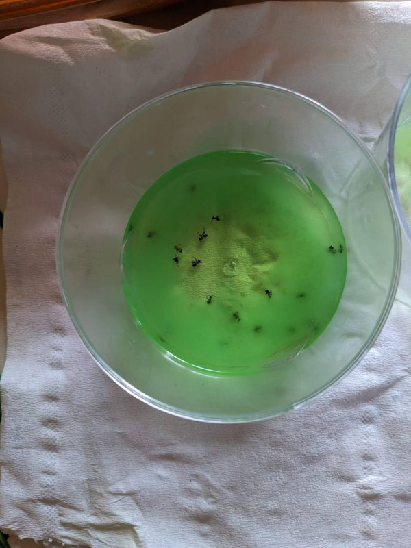 197c68df-3ee7-4ab9-a759-0a44e46d02a7