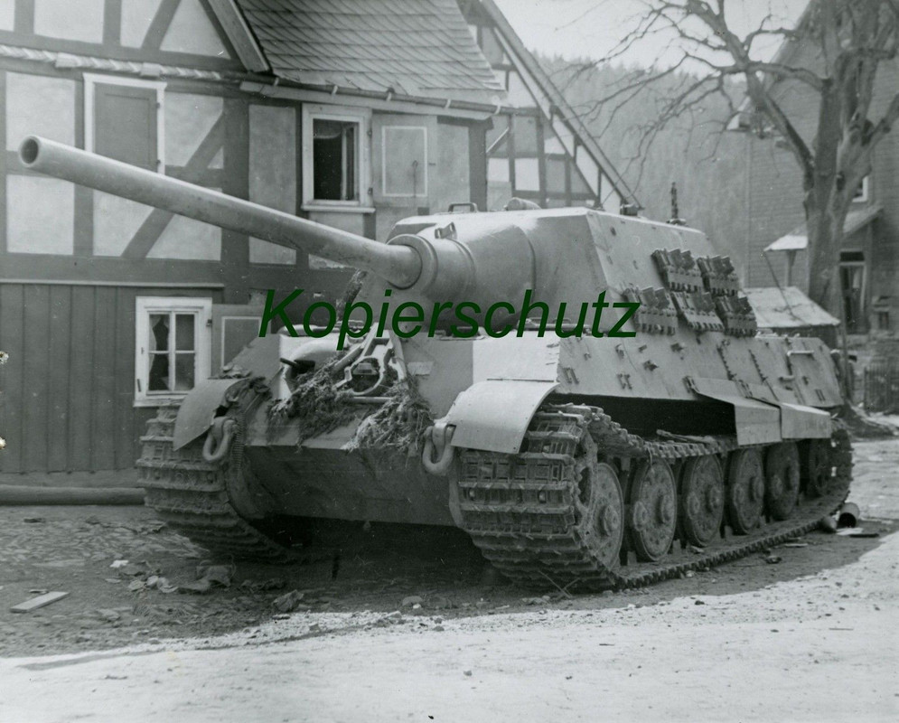 Jagdtiger (Panzerjäger) Rarität an Fotos2