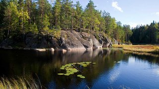 Nuuksio-Mustalampi-Syyskesa-Vastavalo-Jaakko-Vahamaki-1050x590