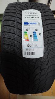 IMG_20241203_212828779