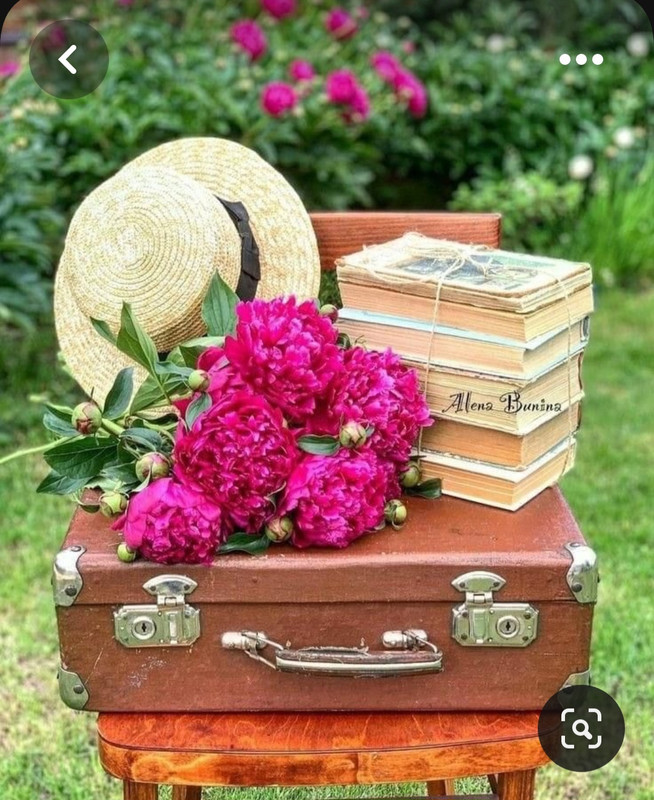 Screenshot_20230616_180705_Pinterest