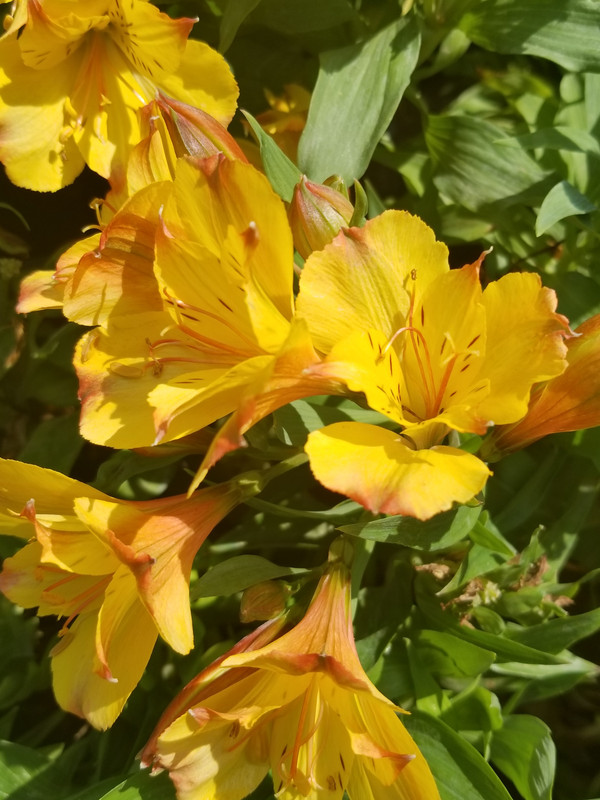 20180804_152341_resized