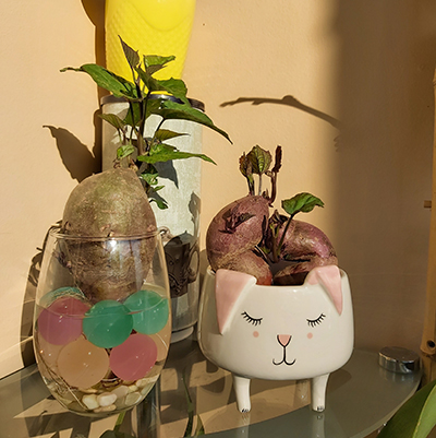 [Image: 20200707-075421.jpg]