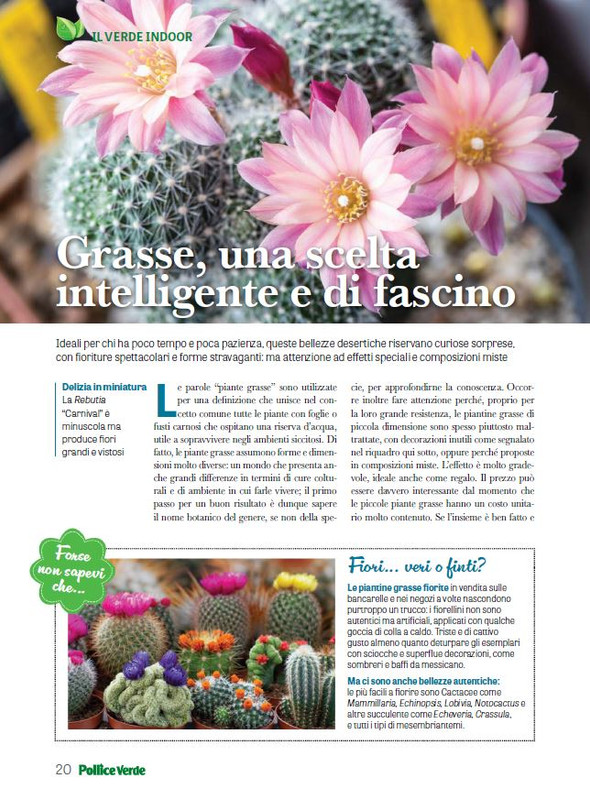 Pol Ver Feb 2024 (3)