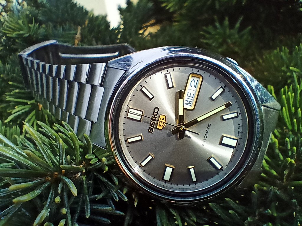 Seiko 5 Club {The Official Subject} - Vol. 11 - Page 3 IMG20220302142318