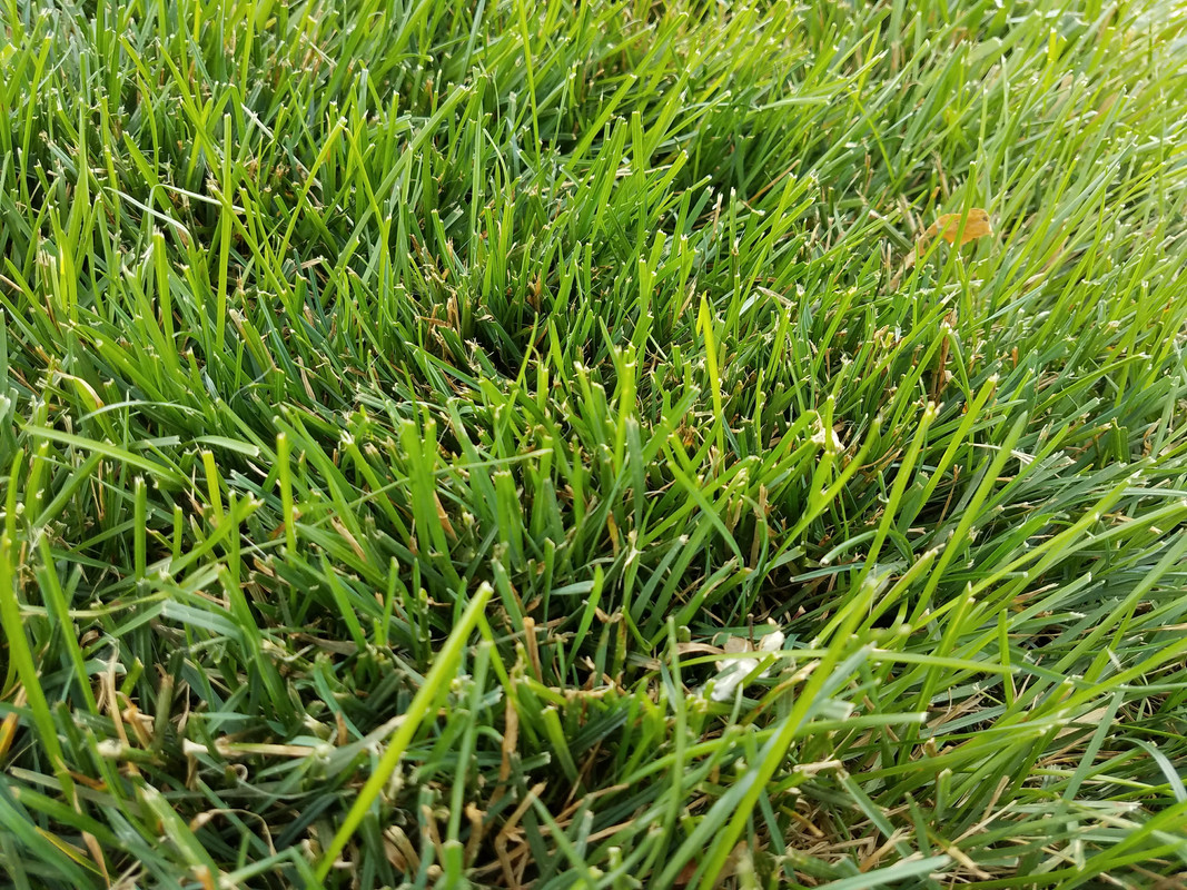 53B97743-A83B-4AC3-ADAE-C15409E5937A