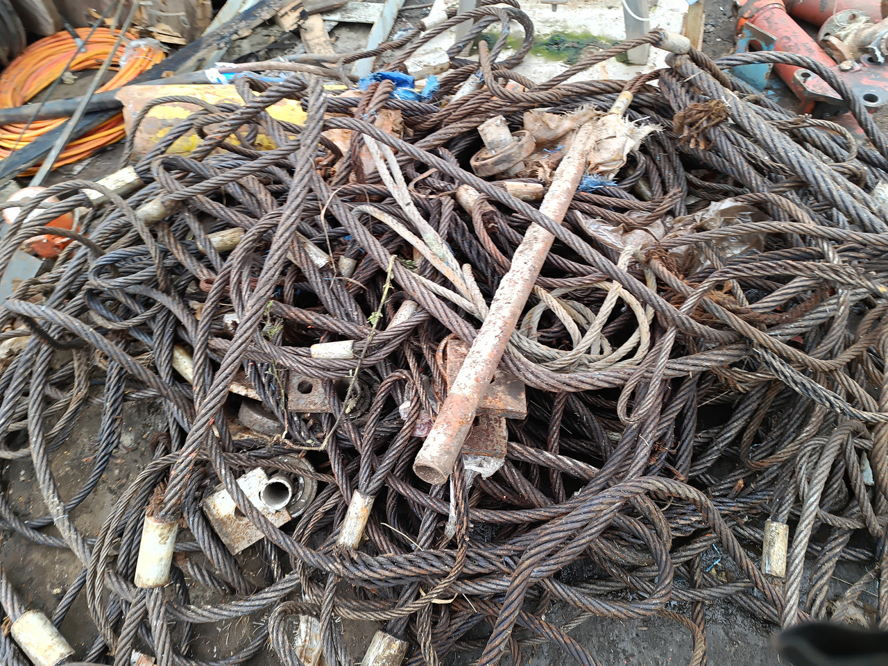 IMG 20251216 133531 749