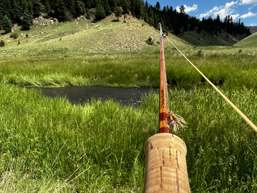 49845736-D7AF-4712-B33E-AB3DEDC34EA6