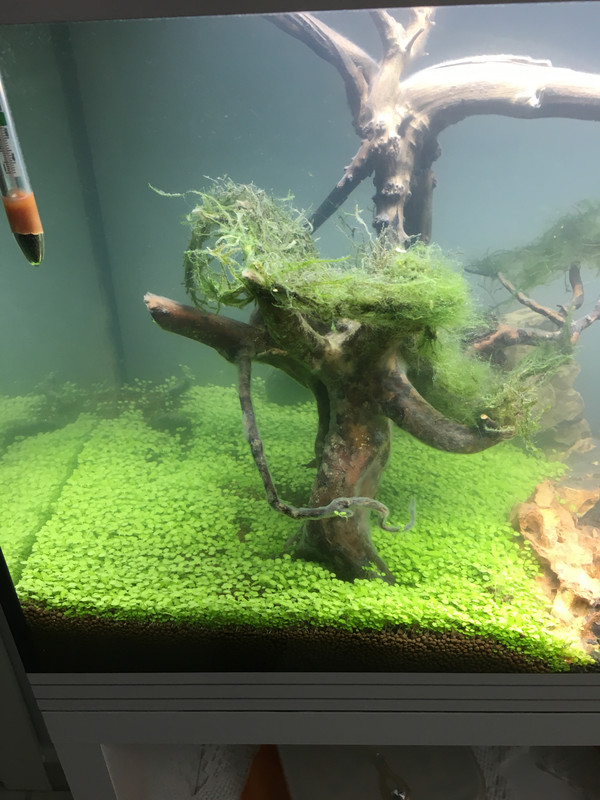 8A24F56E-D6E6-4823-8FFB-21F5F39AC235