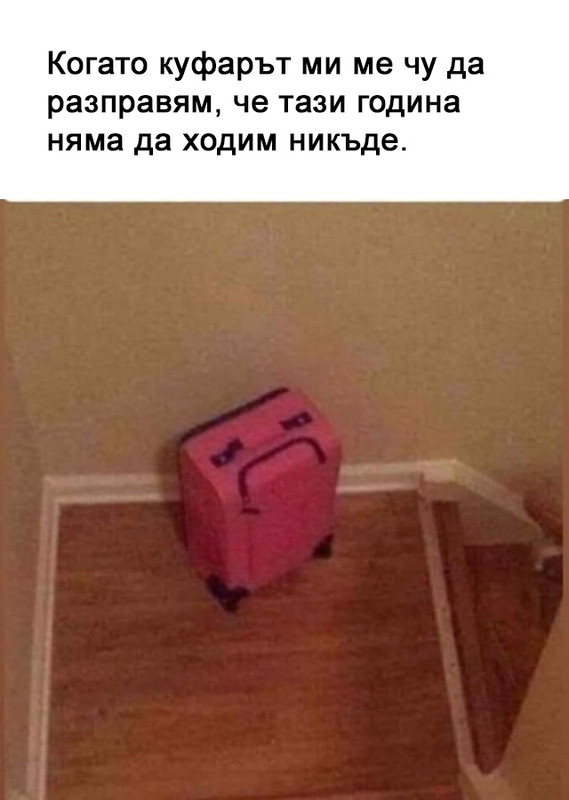 14318094