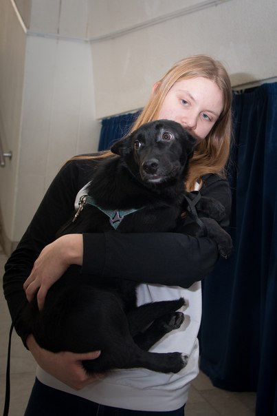 F9C9C64D-A01D-463A-93BD-EC6C42636C58