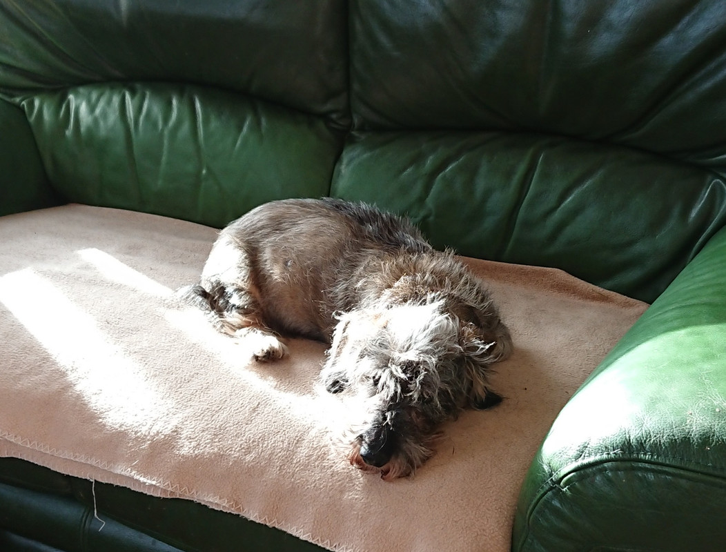 [Image: 20231010-133950.jpg]