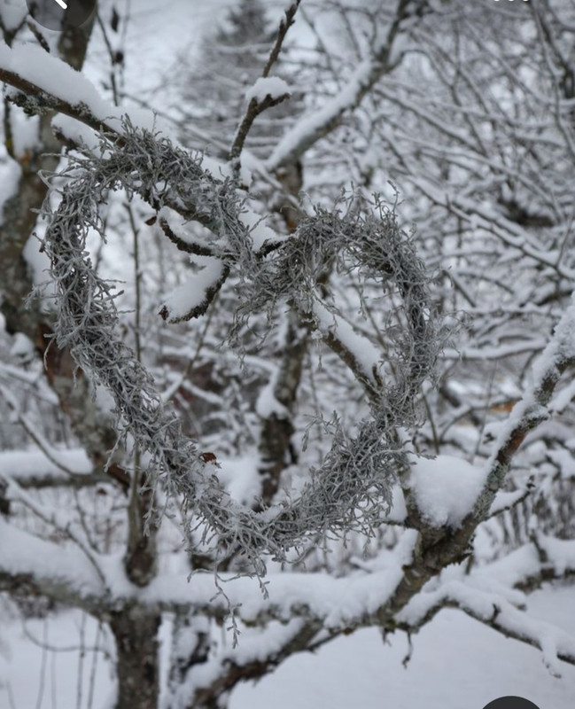 Screenshot_20230509_000353_Pinterest