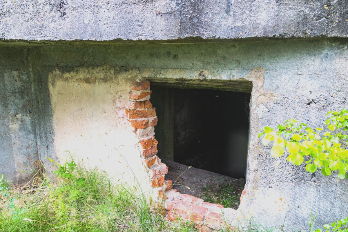 DC3C9A68-1DD9-4D45-BC09-7E0EFFF562DF