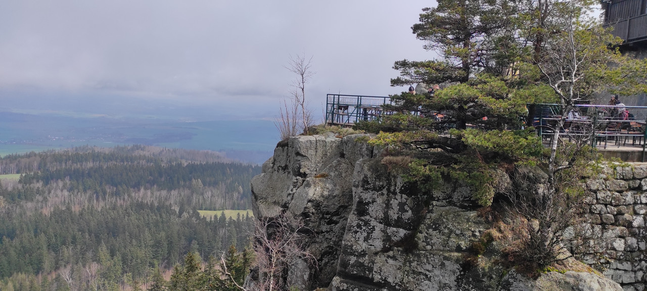 02.06 - IMG_20230429_111552 (Czesio1)