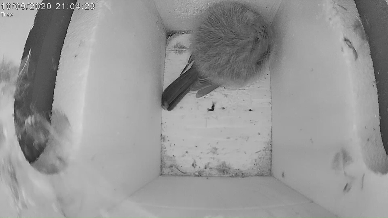 52BDFAE1-F5CB-44A9-9558-2584B4E52D7C