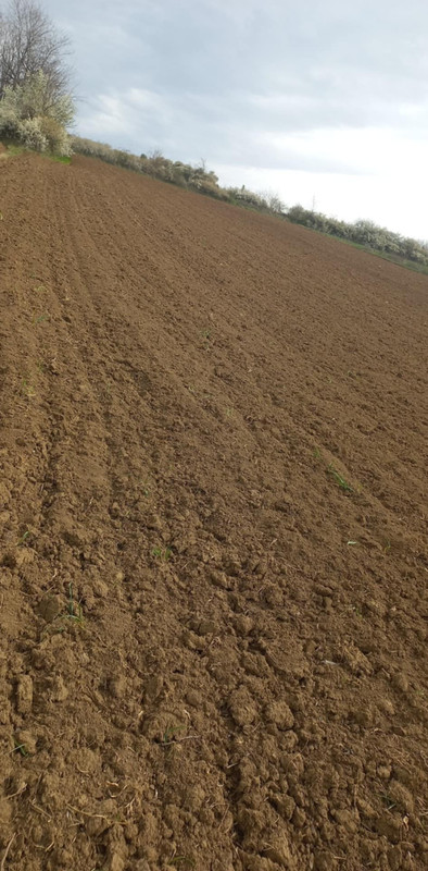 Messenger_creation_7688F368-A805-43F3-AEA7-25B1E359E4C6