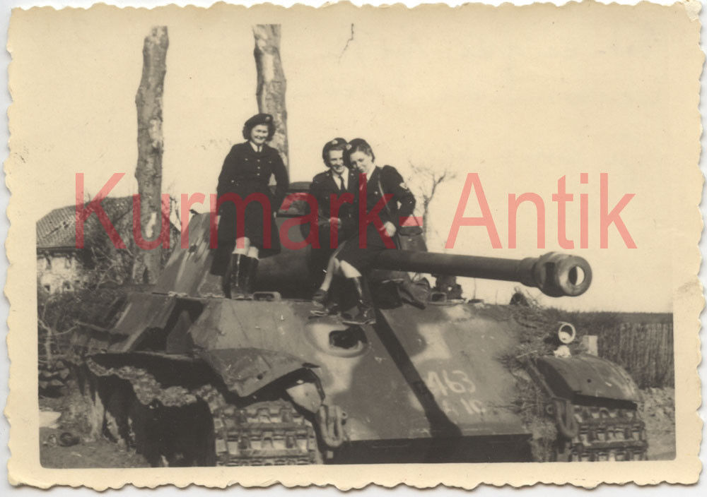 Foto Wehrmacht Panzer Jäger Panther camo Frankreich 1945 mit gir