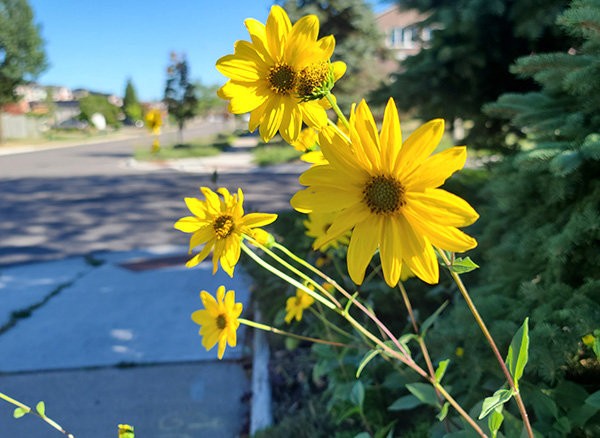 [Image: 20220901-163855.jpg]