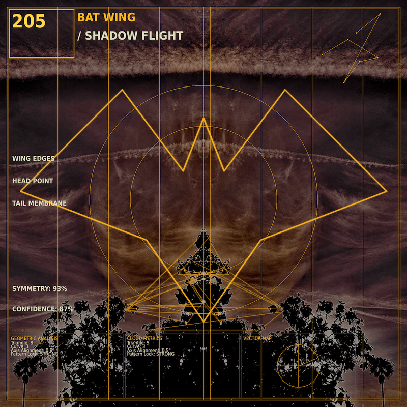 Bat wing