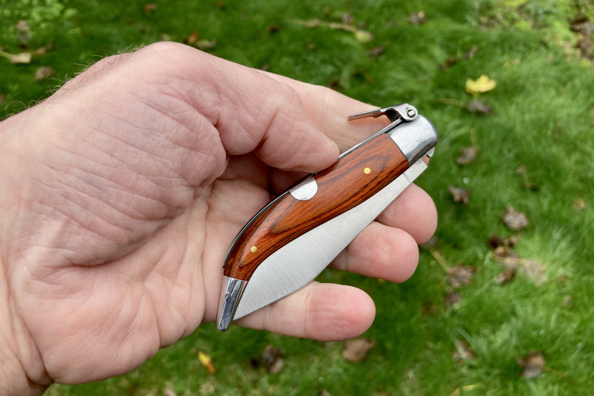 4E542544-FEAA-4263-80BC-8DDEA13BADAC