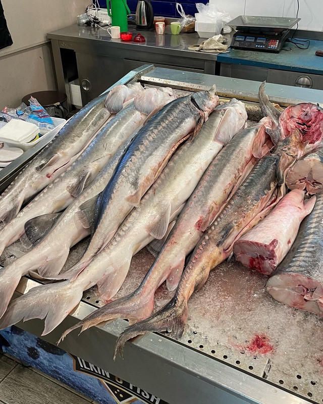 26FF2FB9-0CCD-4B6F-9FAF-D744B29309C2