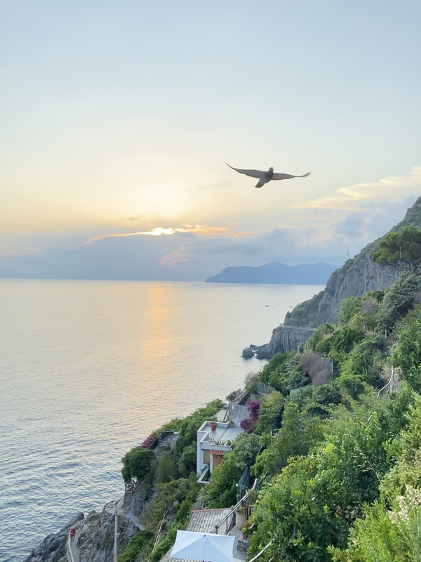 B4FF200C-A419-41AE-BAFF-96B59D031643