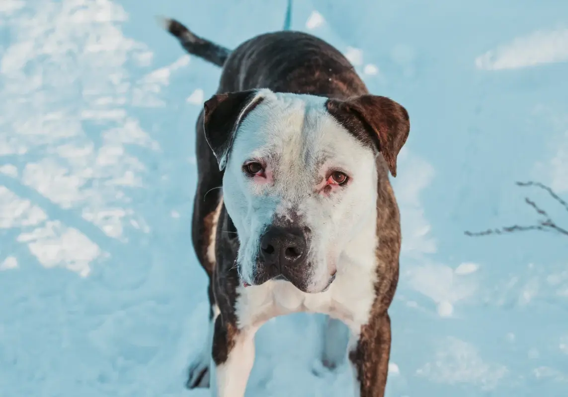 2021-12-12 02-08-26 (2)