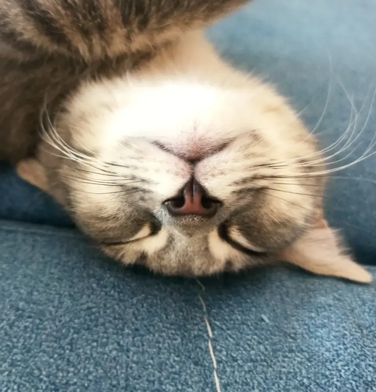 IMG_20230821_182822_662