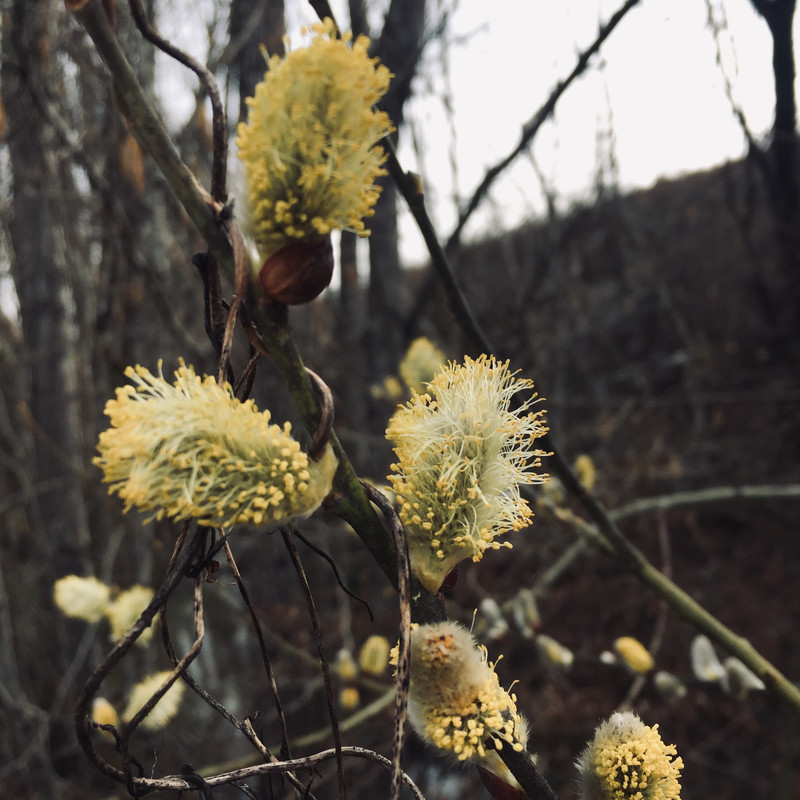 3D693CEA-0AC3-45C9-B379-4794EFF14316