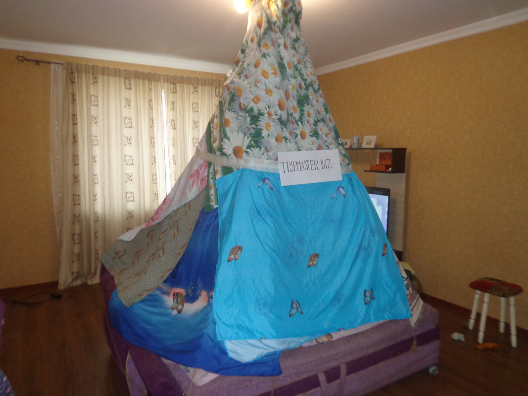 DSC01286-min.jpg